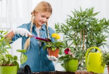 the benefits of plant nurseries webfreen.com