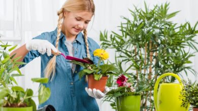 the benefits of plant nurseries webfreen.com