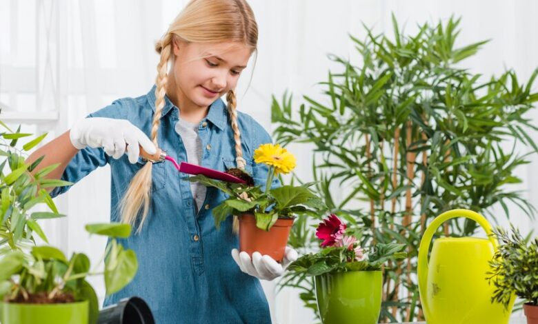 the benefits of plant nurseries webfreen.com